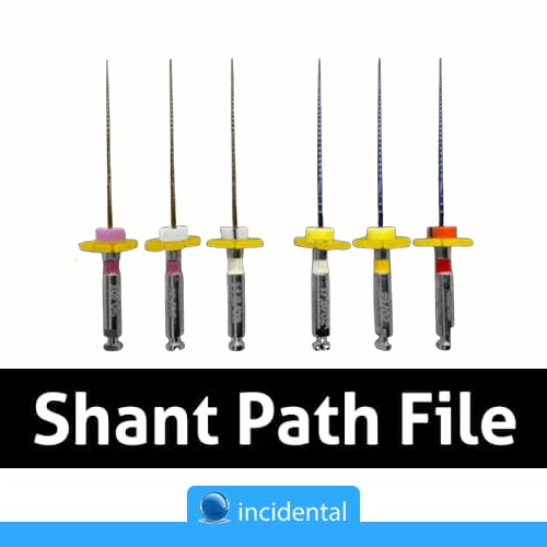 SHANT-2
