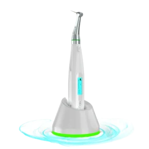 اندوموتور کوکسو