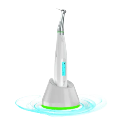 اندوموتور کوکسو