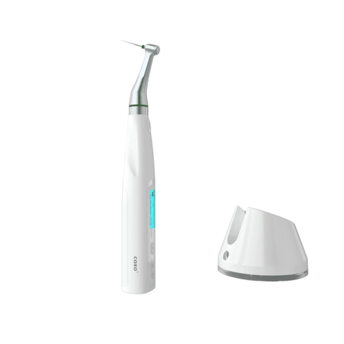 d5c5386cc2d44accaa7e4add6c76c6c9-ezgif.com-jpg-to-webp-converter